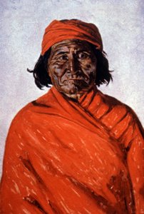 Geronimo, kolem roku 1900 (ilustrace) od Elbridge Ayer Burbank