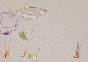 Floating, 2014 (akvarelová tužka a plátkové zlato na papíře)