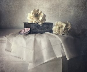 Elegantní květinové zátiší od Elena Arjona