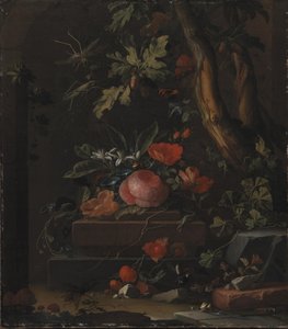 Květiny od Elias van den Broeck