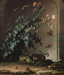 Stone Niche s bodlákem, ještěrkou a hmyzem, 1690
