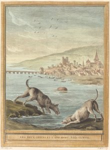 Dva psi a mrtvý osel od Elie du Mesnil after Jean Baptiste Oudry