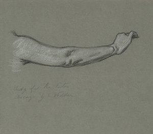 Studie pro osudy shromažďující se ve hvězdách, 1884-1887. od Elihu Vedder