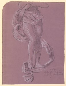 Studie "Fortune" od Elihu Vedder