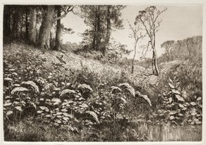 Letní odpoledne, 1882. od Elis F. Miller