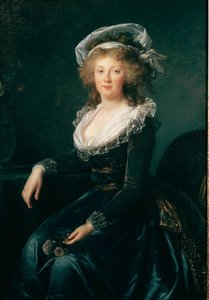 Portrét Marie Terezie Bourbonské Neapol, královny Neapole a Sicílie (1772-1807), poté manželky Františka II. Rakouského Obraz Elisabeth Vigee Lebrun (1755-1842) 1790 Neapol, museo di Capodimonte - Princezna Maria Teresa (179355-1 (později císařovna A od Elisabeth Louise Vigee Lebrun