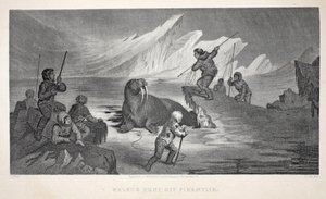 Lov mrožů u Pikantliku, ilustrace z knihy "The second Grinnell Expedition in Search of Sir John Franklin...", 1856