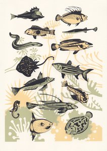 Peach Seaweed Fish, 2015 (sítotisk) od Eliza Southwood