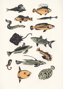 Plain Fish, 2015 (sítotisk) od Eliza Southwood
