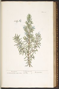 Talíř 159, z 