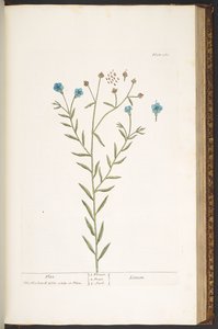 Talíř 160, z 