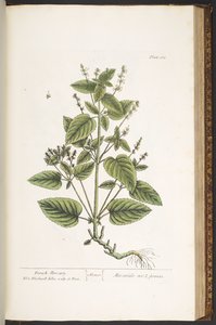 Talíř 162, z 