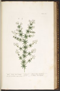 Talíř 168, z 
