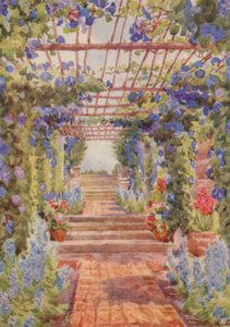 Pergola pokrytá modrými rostlinami Ipomoea Learii de Grendel, Tygerberg (barevná litografie)