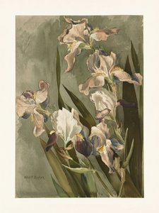  od Elizabeth F. Parker