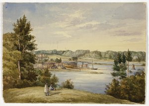 Pohled ze Sydney od Elizabeth Murray