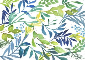 Foliage Medley, 2018 (akvarel) od Elizabeth Rider