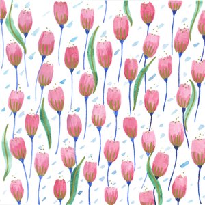 Růžové tulipány, 2017 (akvarel)