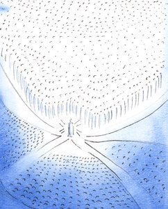 Kristus je skrze svou eucharistickou přítomnost „bodem“ setkání nebo konvergence všech, kteří žijí „v“ něm, celé církve, 2003 (bez papíru) od Elizabeth Wang