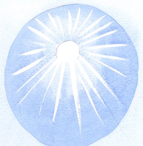 Kdo je vděčný za slunce, je vděčný za jeho teplo a světlo, takže ten, kdo miluje Boha, by měl milovat také Boží vůli., 2001 (bez papíru) od Elizabeth Wang