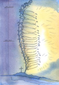 Církev vydává živé výhonky svatosti, aby kvetly v každém věku, 2003 (bez papíru) od Elizabeth Wang