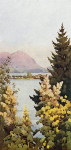 Zahrada (barevná lito) od Ella Du Cane