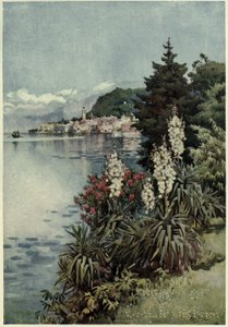 Skupina Yuccas, Villa Melzi, Lago di Como, Ilustrace z „Italských jezer“ od Richarda Bagota od Ella Du Cane
