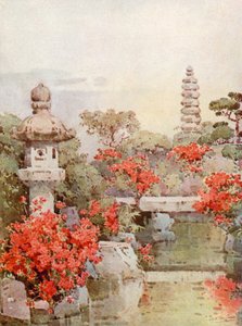 Azalky, Kyoto (barva litho)