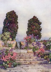 Botanická zahrada, Orotava (barevní členové) od Ella Du Cane