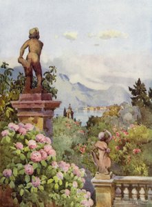 Hortenzie, Isola Bella, Lago Maggiore (barevné lito) od Ella Du Cane