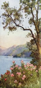 Jezero Lecco, jezero Como (barva litho) od Ella Du Cane