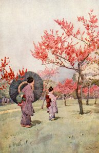 Peach Blossom (barva lito) od Ella Du Cane