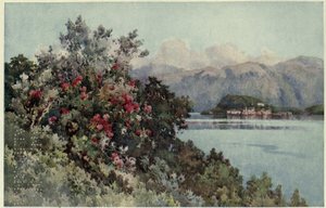 Růže, Villa Carlotta, Lago di Como, Ilustrace z „Italských jezer“ od Richarda Bagota