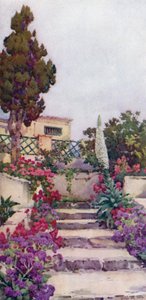 Statistics and Pride of Tenerife (color litho) od Ella Du Cane