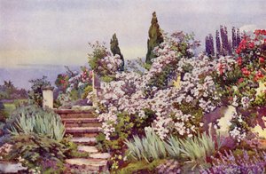 The Garden Steps (barva lito) od Ella Du Cane