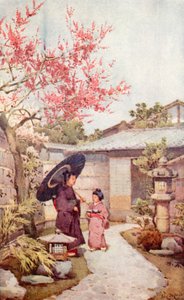 Kobai Plum Blossom (barva lito) od Ella Du Cane