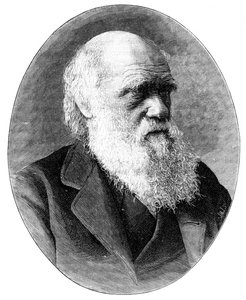 Charles Darwin, anglický přírodovědec 19. století, 1900.