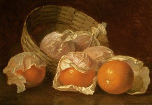 Košík pomerančů, 1895