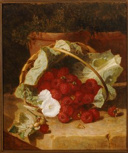 Maliny v košíku vyloženém zelím s bílou konvulvulem na kamenné římse, 1880 od Eloise Harriet Stannard