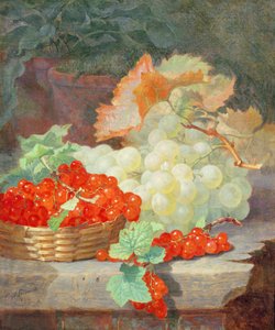 Červený rybíz a hrozny, 1864 od Eloise Harriet Stannard