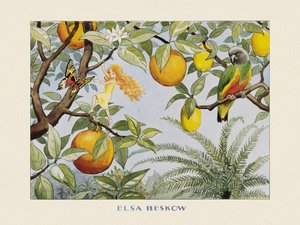 Solägget  Sollandet od Elsa Beskow