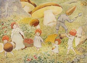 Děti z Tomtebo – Mushroom Kids