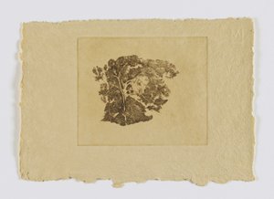 Studie stromů (fm. portfolio) od Emil Carlsen