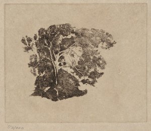Stromová studie od Emil Carlsen