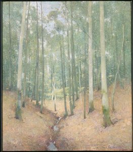 Dřevěný interiér od Emil Carlsen