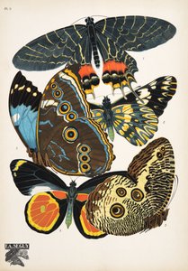 Talíř 2, z Motýlů, hospoda. 1925 (tisk šablony)