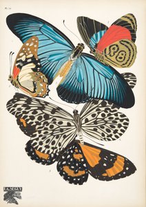 Talíř 11, z Motýlů, hospoda. 1925 (tisk šablony)