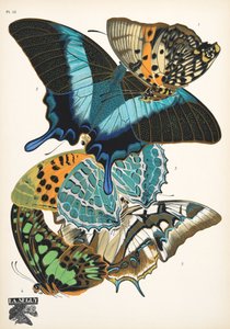 Talíř 13, z Motýlů, hospoda. 1925 (tisk šablony) od Émile Allain Séguy