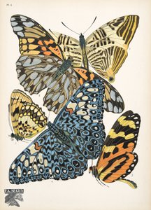 Talíř 3, z Motýlů, hospoda. 1925 (tisk šablony) od Émile Allain Séguy
