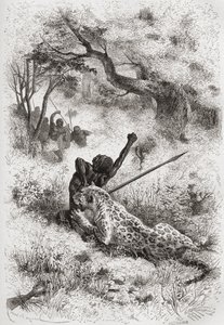 Leopard útočící na Afričana, ilustrace z knihy "Svět v rukou", vyryl Henri Theophile Hildibrand (1824-97), vydáno 1878. od Emile Antoine Bayard